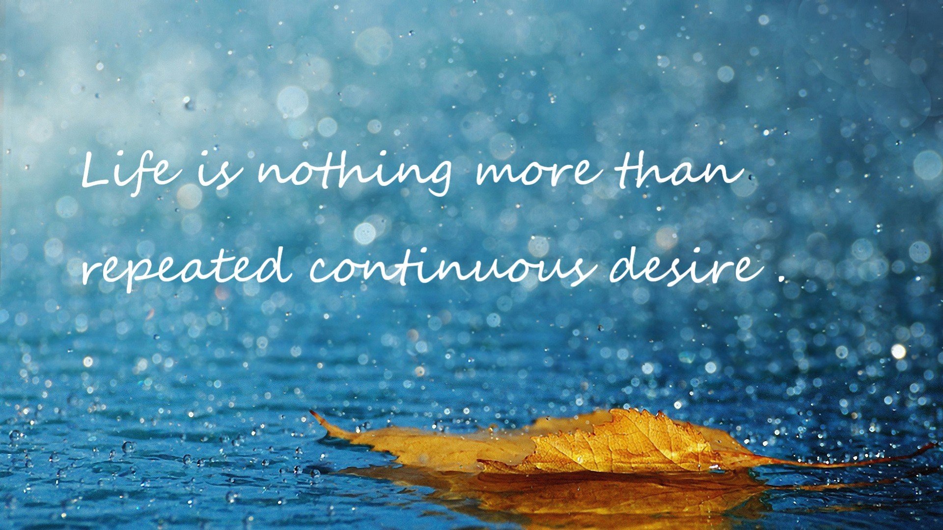 美加墨世界杯焦点战前瞻，马里战术革新全面压制，拉齐奥面临严峻考验