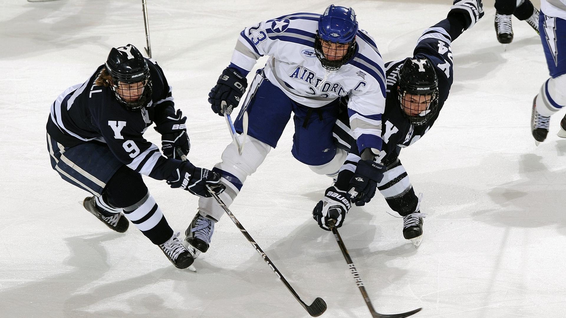 绿茵场与硬木地板的交响，当德甲争冠战遇上灰熊掀翻篮网的启示