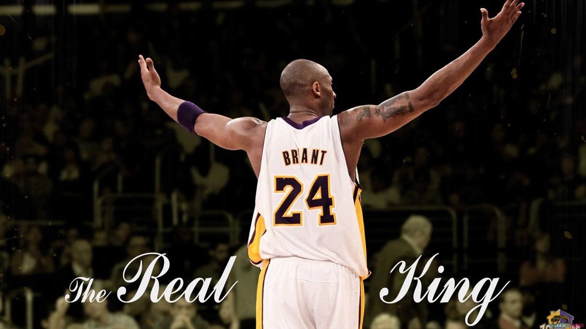 迪马利亚独舞破洪都拉斯，喀麦隆团队完胜展现实力